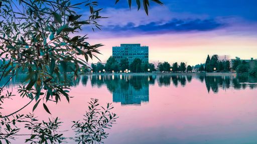 BEAUTIFUL 2nd Floor Capitol Lake Facing Studio in Tower Building. – photo 1