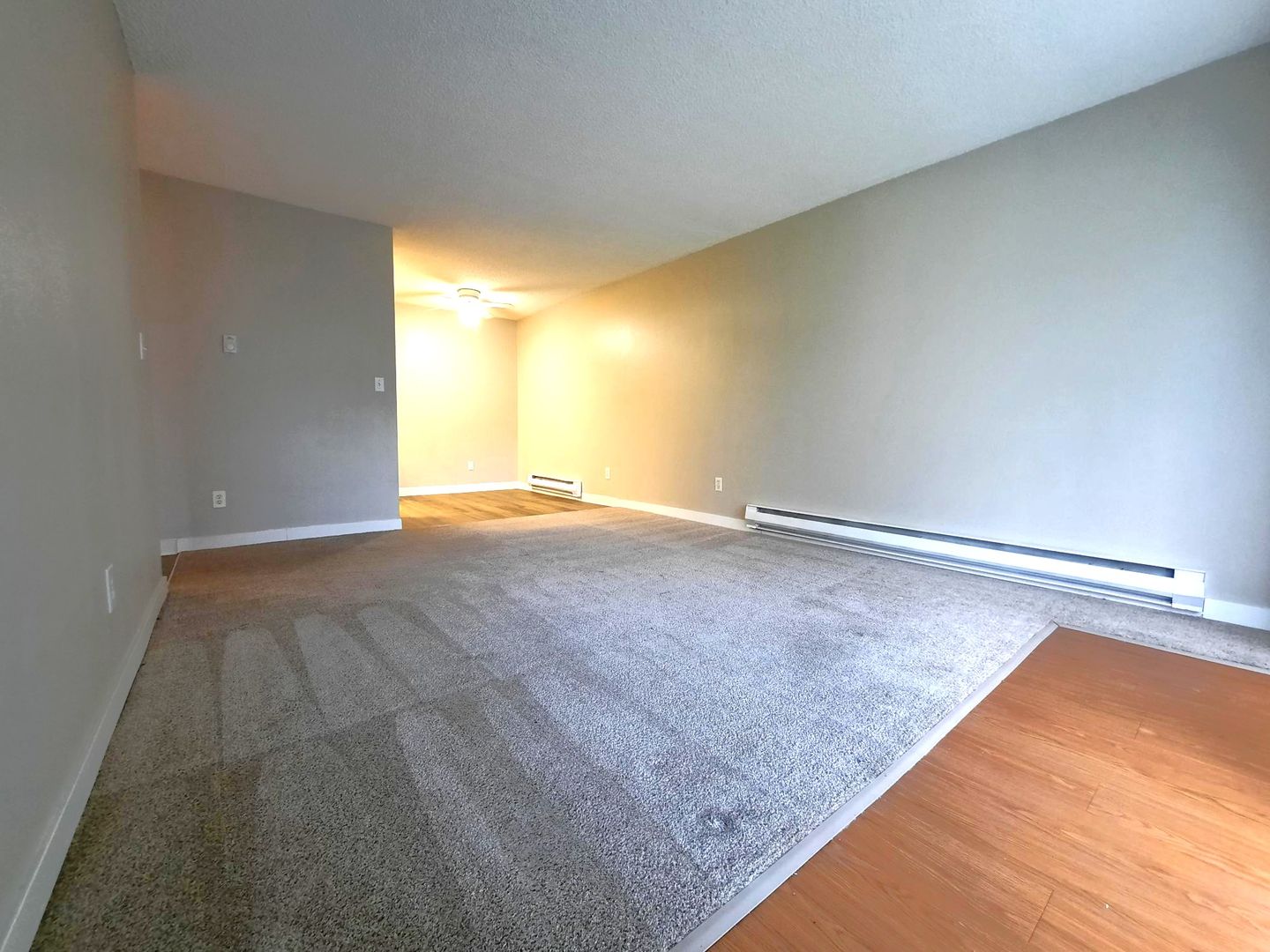 Auburn Apartment: 1936 F Street SE