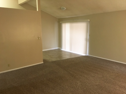 2201 PINON SPRINGS CIRCLE – photo 1