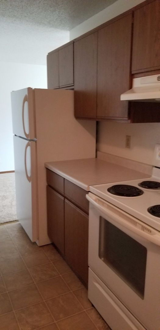 Owatonna Apartment: 107 22nd ST NW