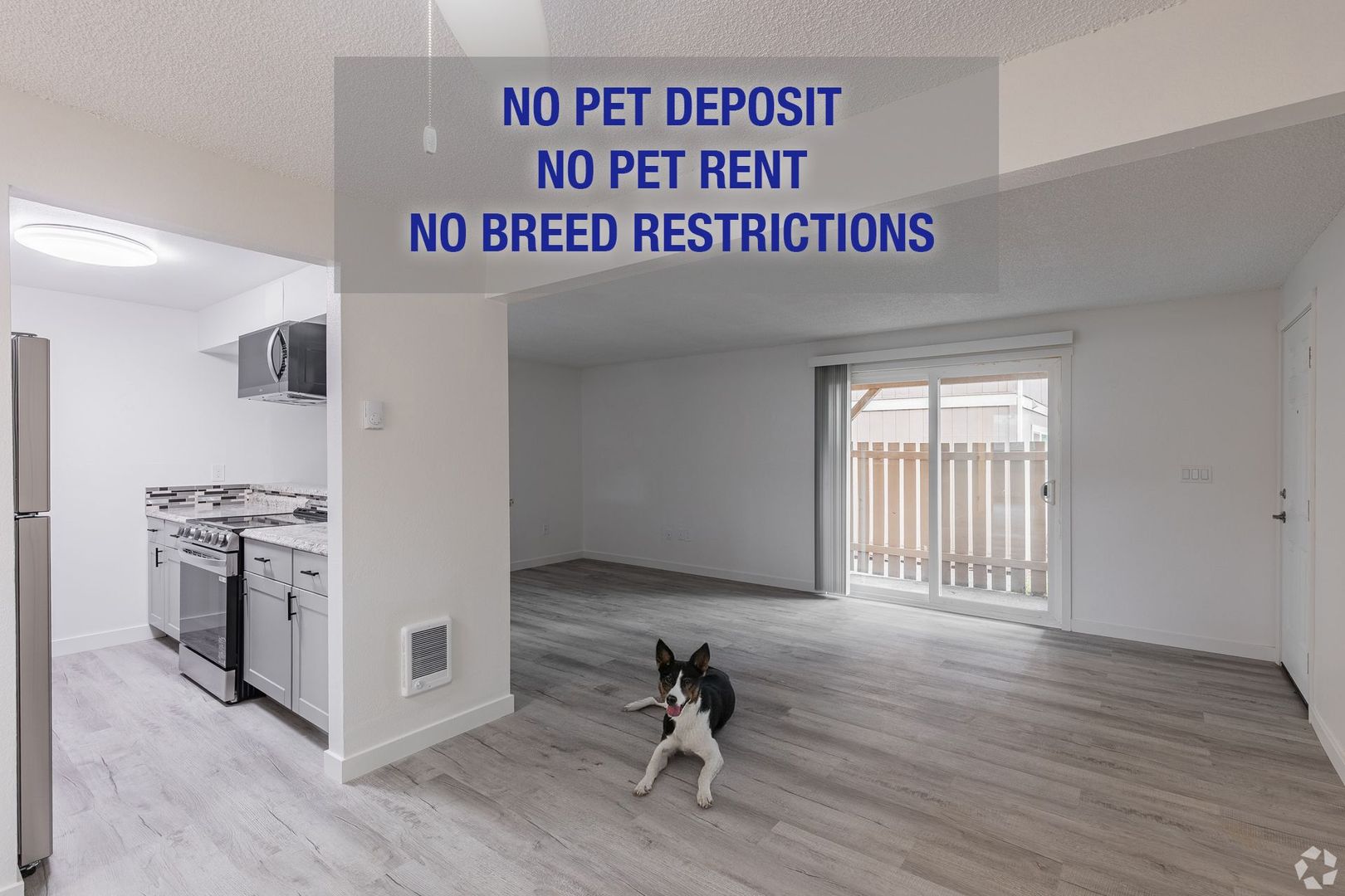 Vancouver Apartment: 117 NE 102nd Ave