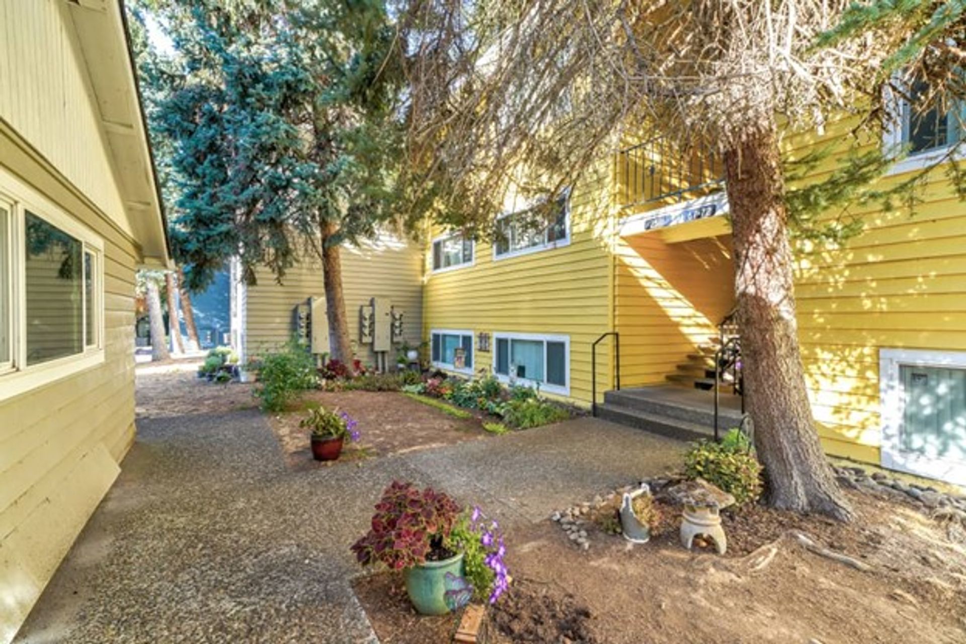 Images Springcreek Apartments