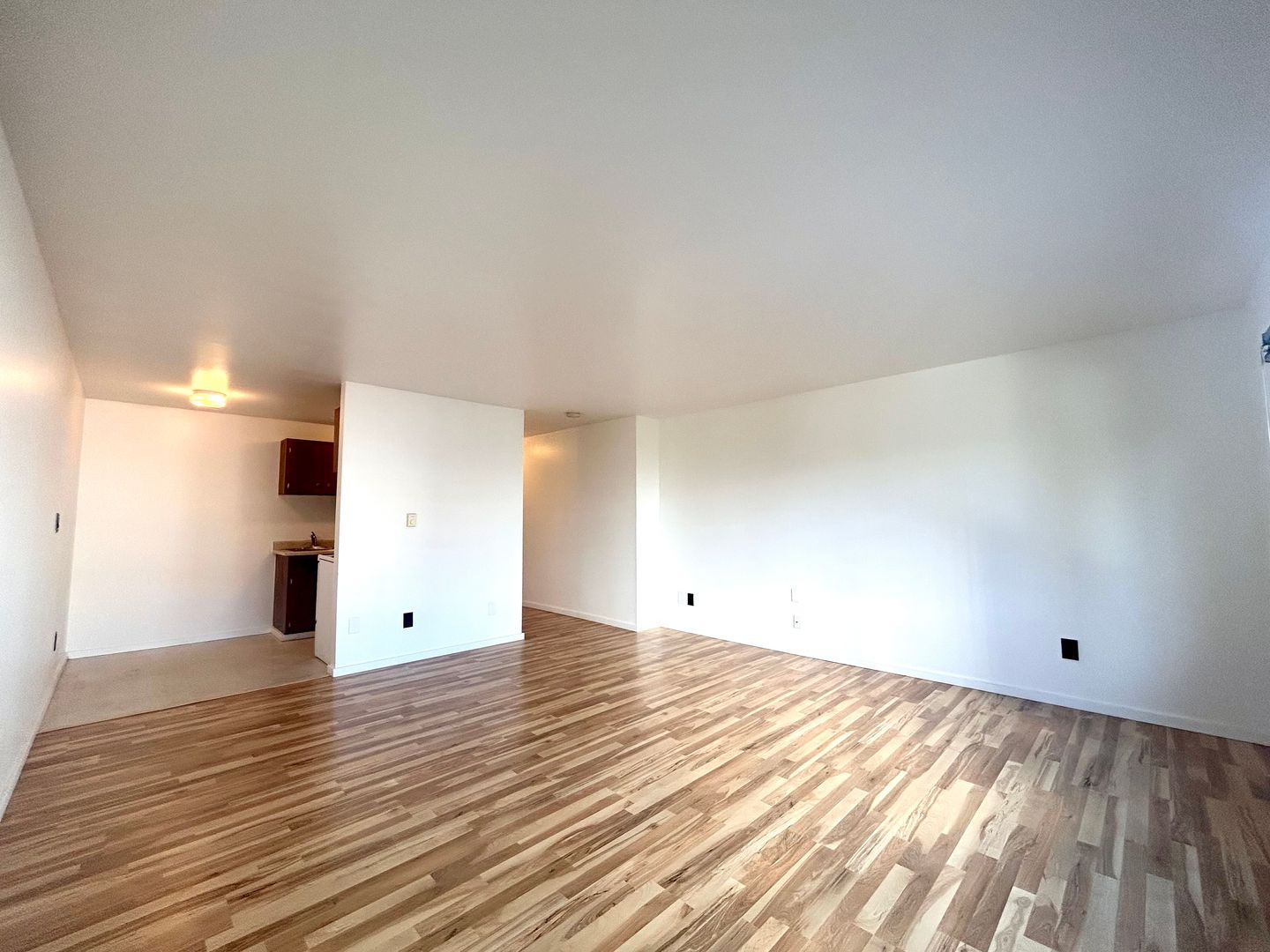 Seattle Apartment: 4214 11th Ave NE