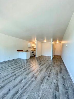 Spacious Studio Plus Den with an Abundance of Natural Light! 6 Weeks Free! – photo 1