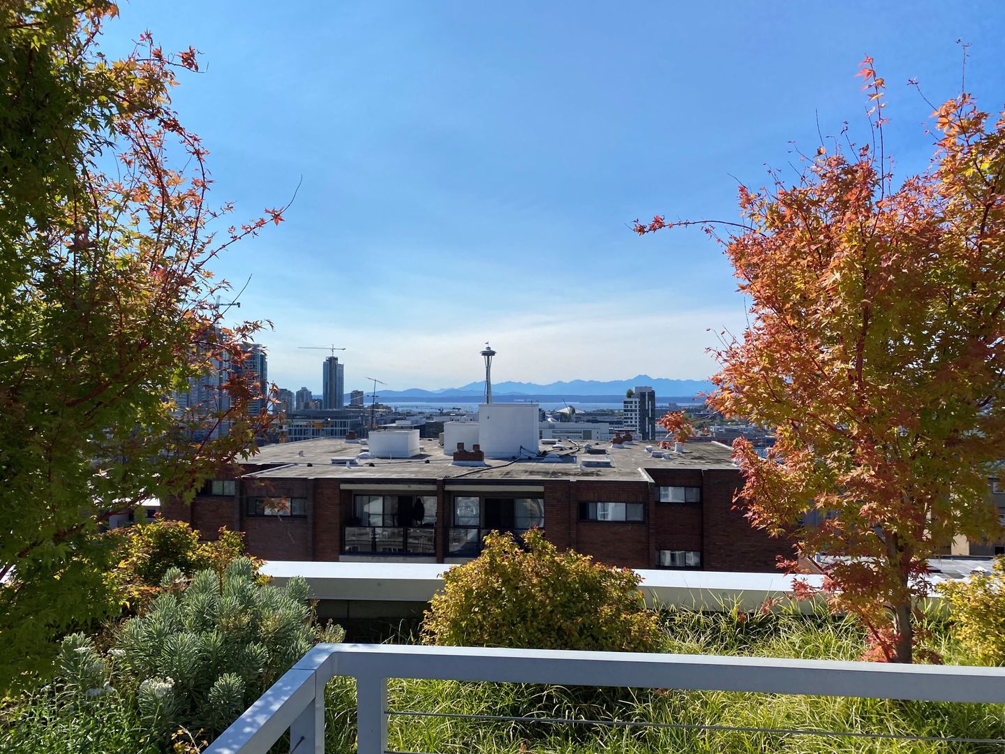 Seattle Apartment: 418 Bellevue Ave East