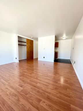 6 Weeks Free!! Top Floor Corner Unit Studio! Big Windows and Multiple Closets! – photo 1