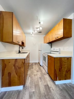 Newly Renovated Large 1BD w/ Patio and Natural Light! PLUS Pet Friendly, Free Storage & Free Parking!! – photo 1