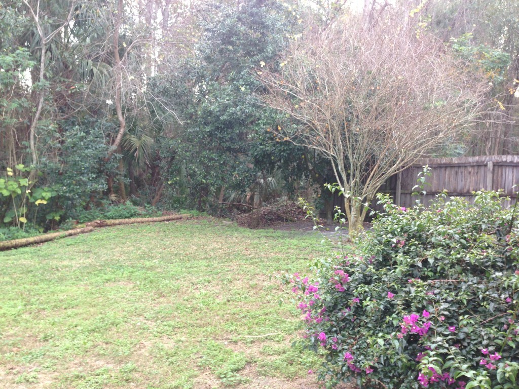 Lake Mary House: 2321 Roanoke Dr