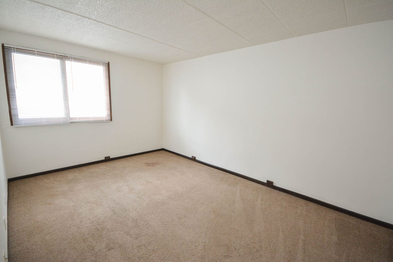 537 Northern Hills Dr NE 4, Rochester, MN 55906