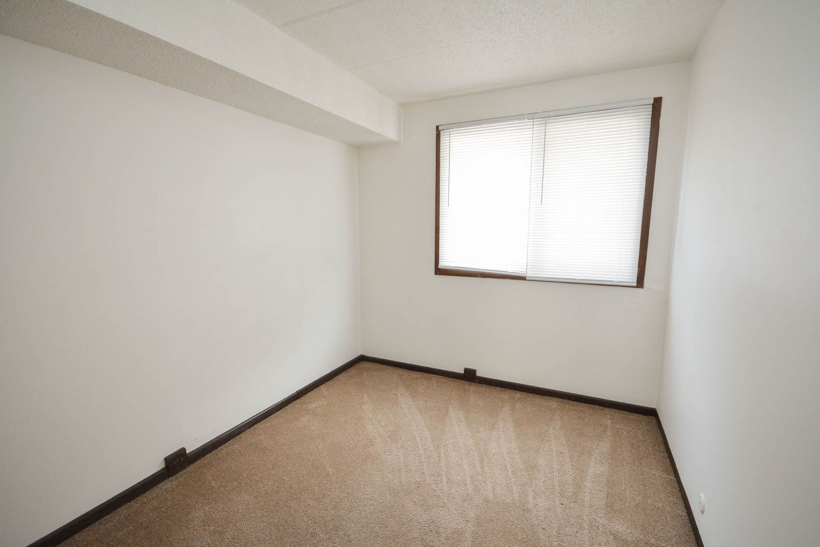 537 Northern Hills Dr NE 4, Rochester, MN 55906