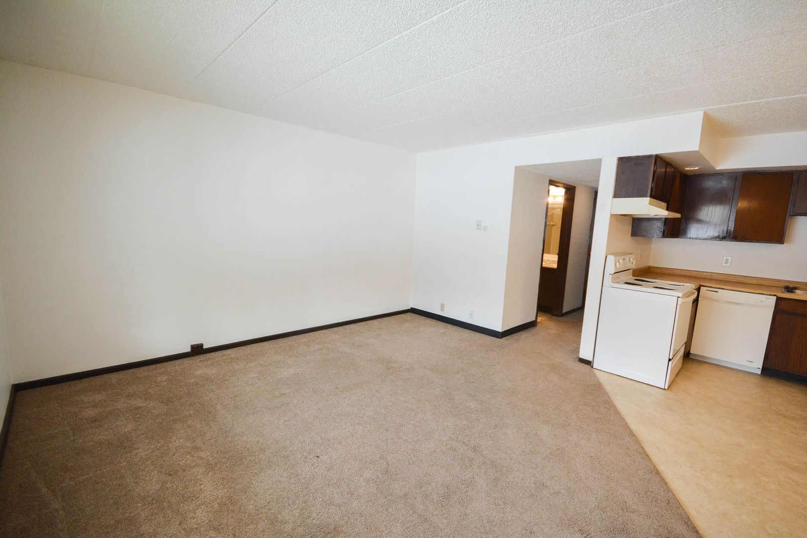 537 Northern Hills Dr NE 4, Rochester, MN 55906