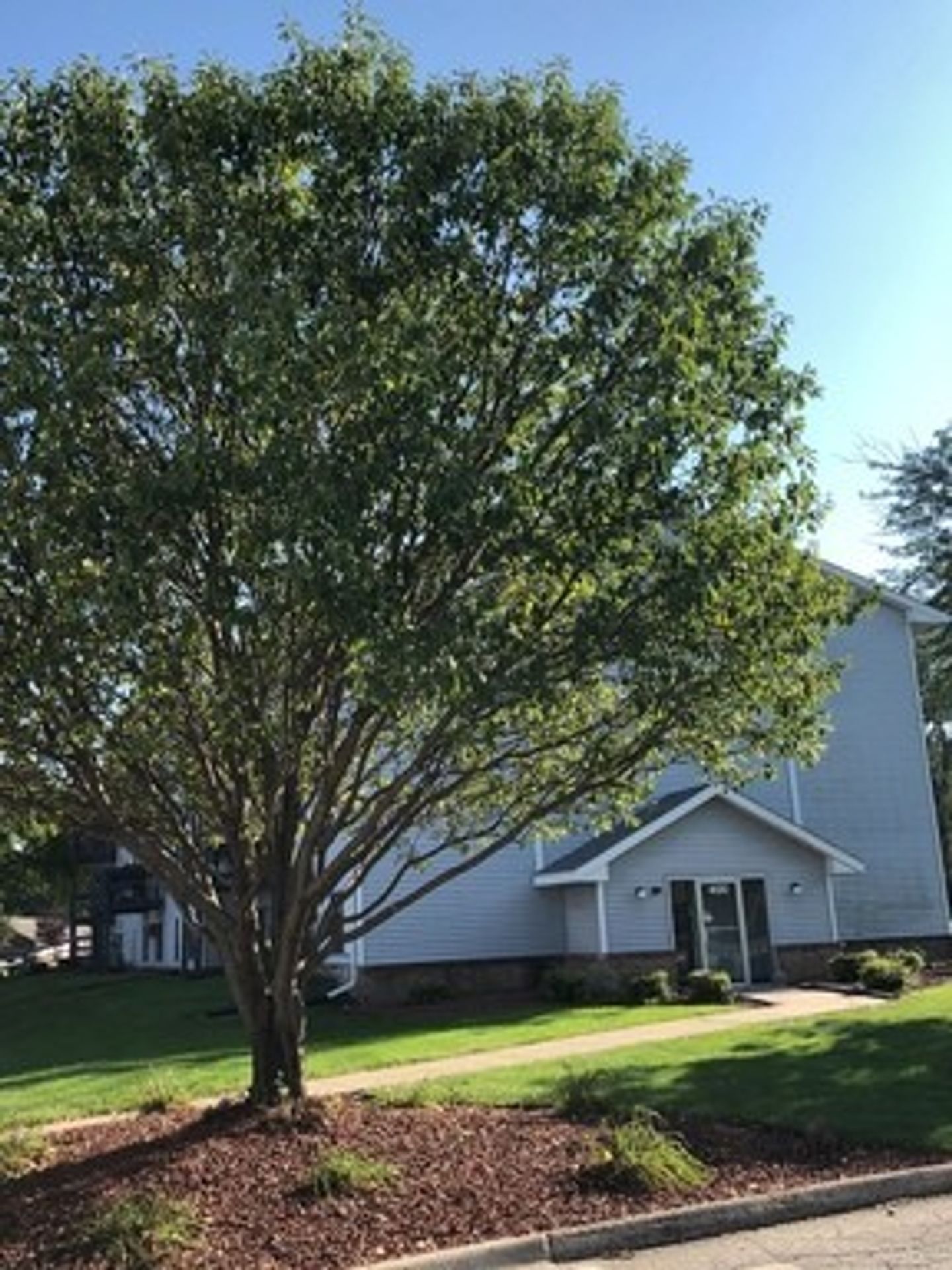 Waukee Apartment: 395 4th Street