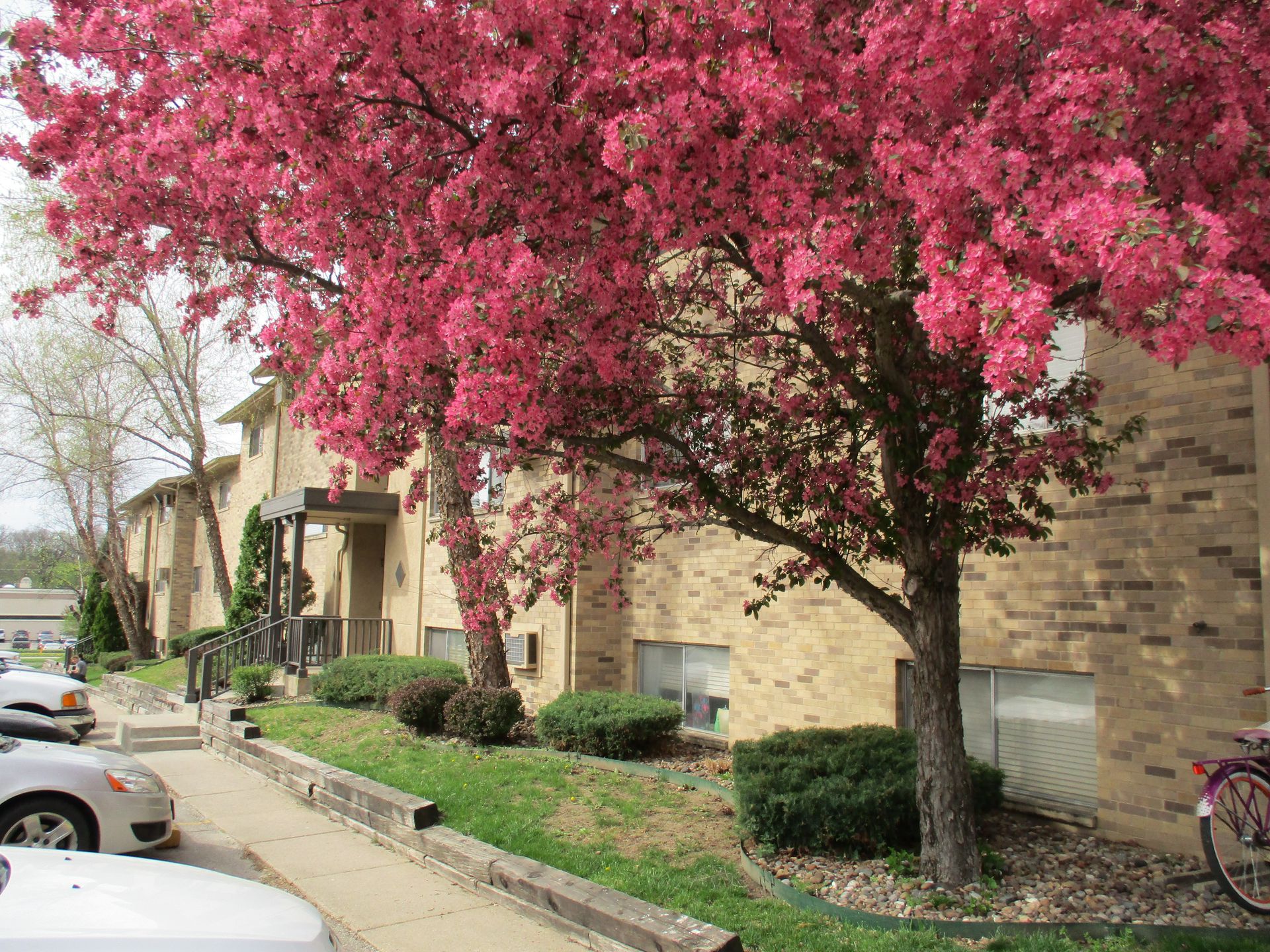 Urbandale Apartment: 7715 Hickman Road