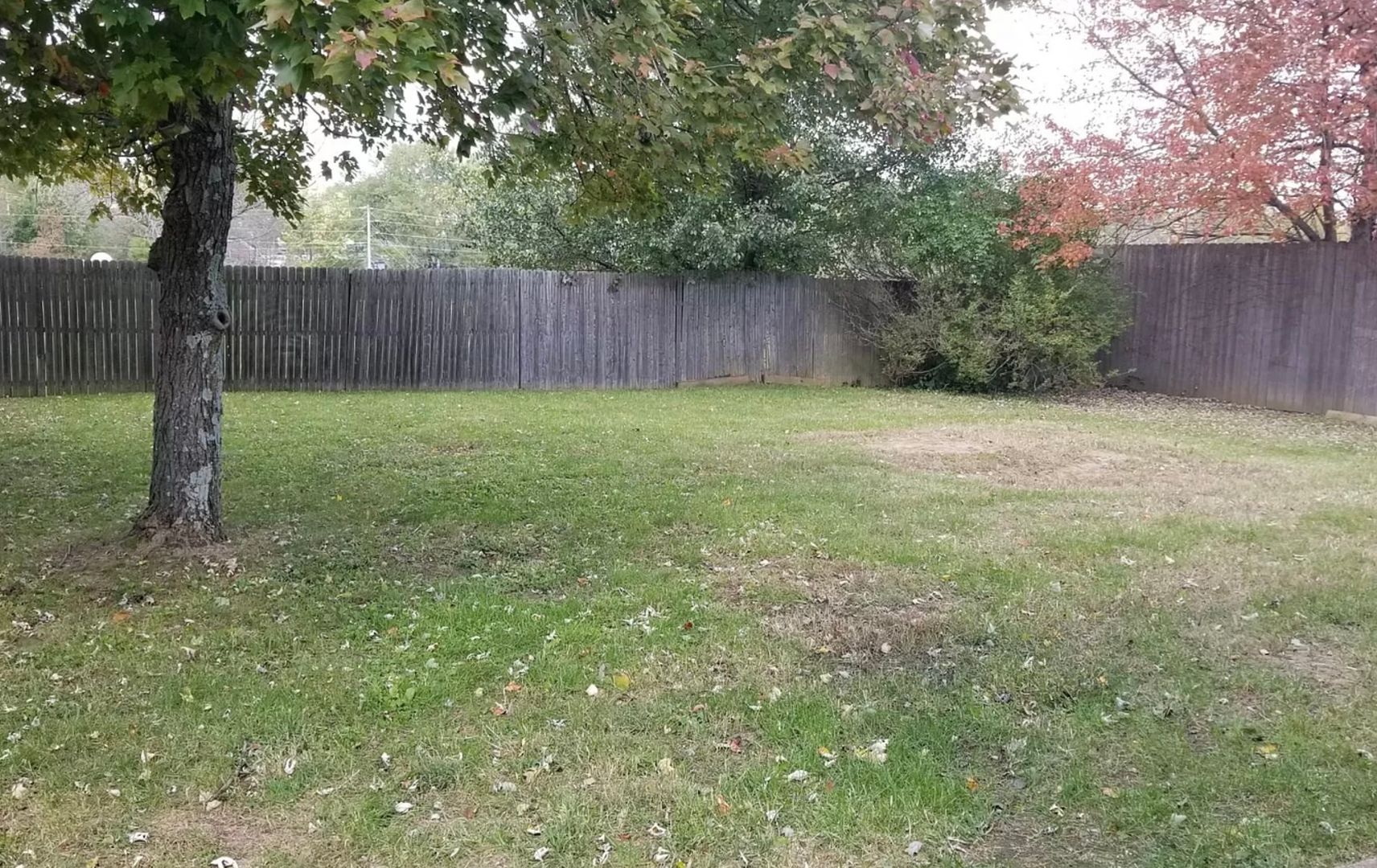 Lexington House: 3509 Buckhorn