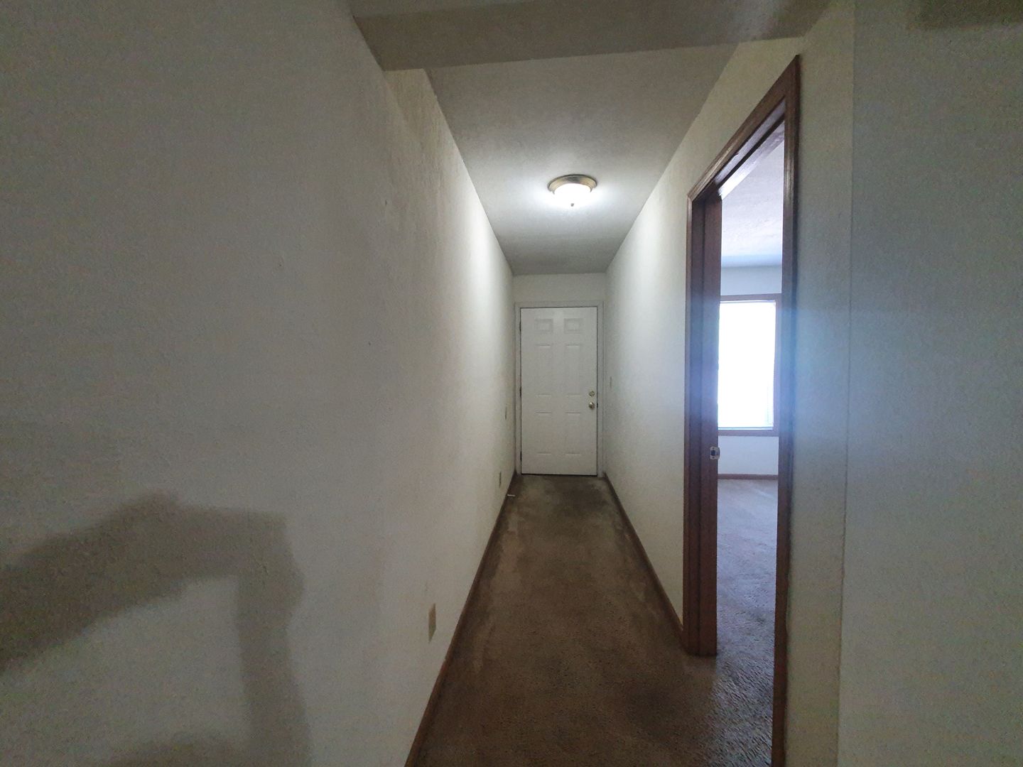 Rolla Apartment: 1821 Vichy