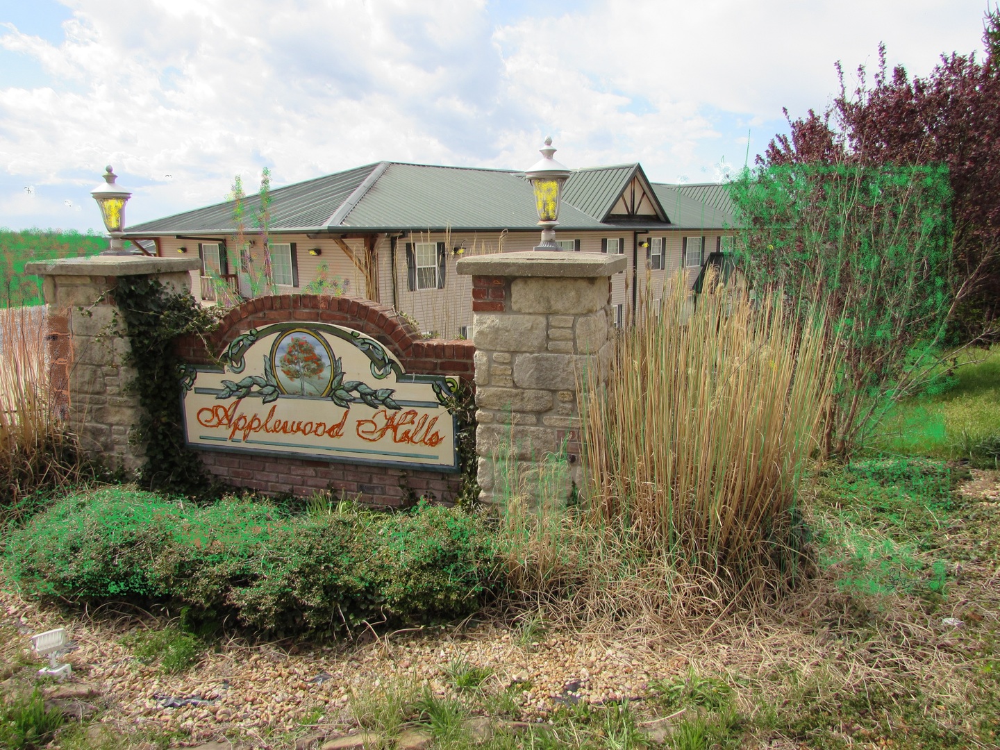 apartment for rent 1