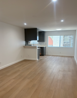 Large 2 Bedroom/2 Bathroom with Central AC, Granite, and Hardwood Flooring – photo 1
