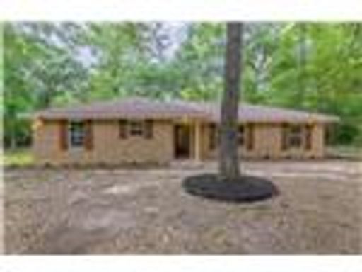 14701 Cedar Lane Loop, Willis, TX 77378