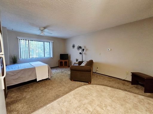 CHARMING FURNISHED STUDIO – photo 1