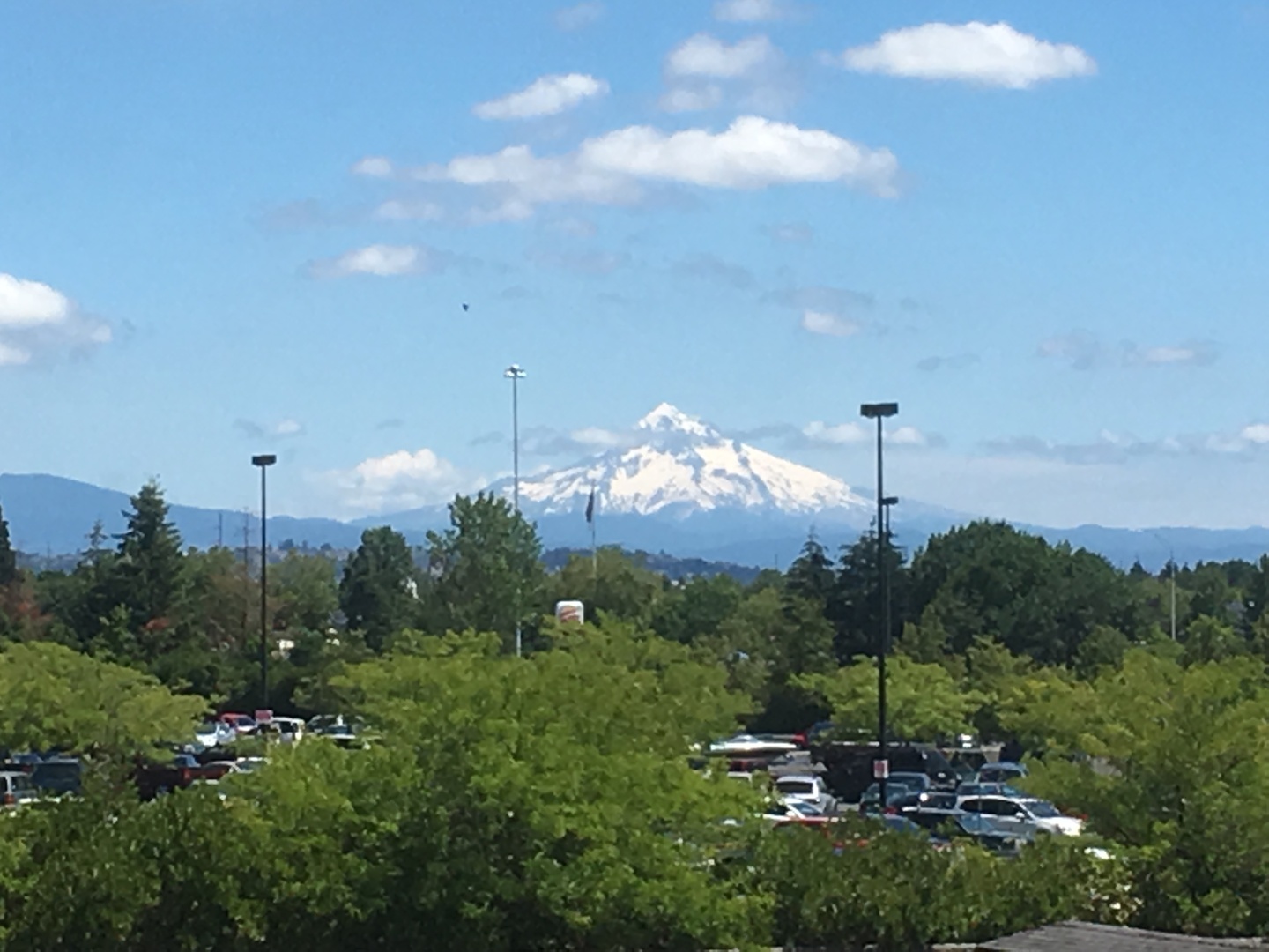 VANCOUVER Apartment: 301-415 NE 104 AVENUE