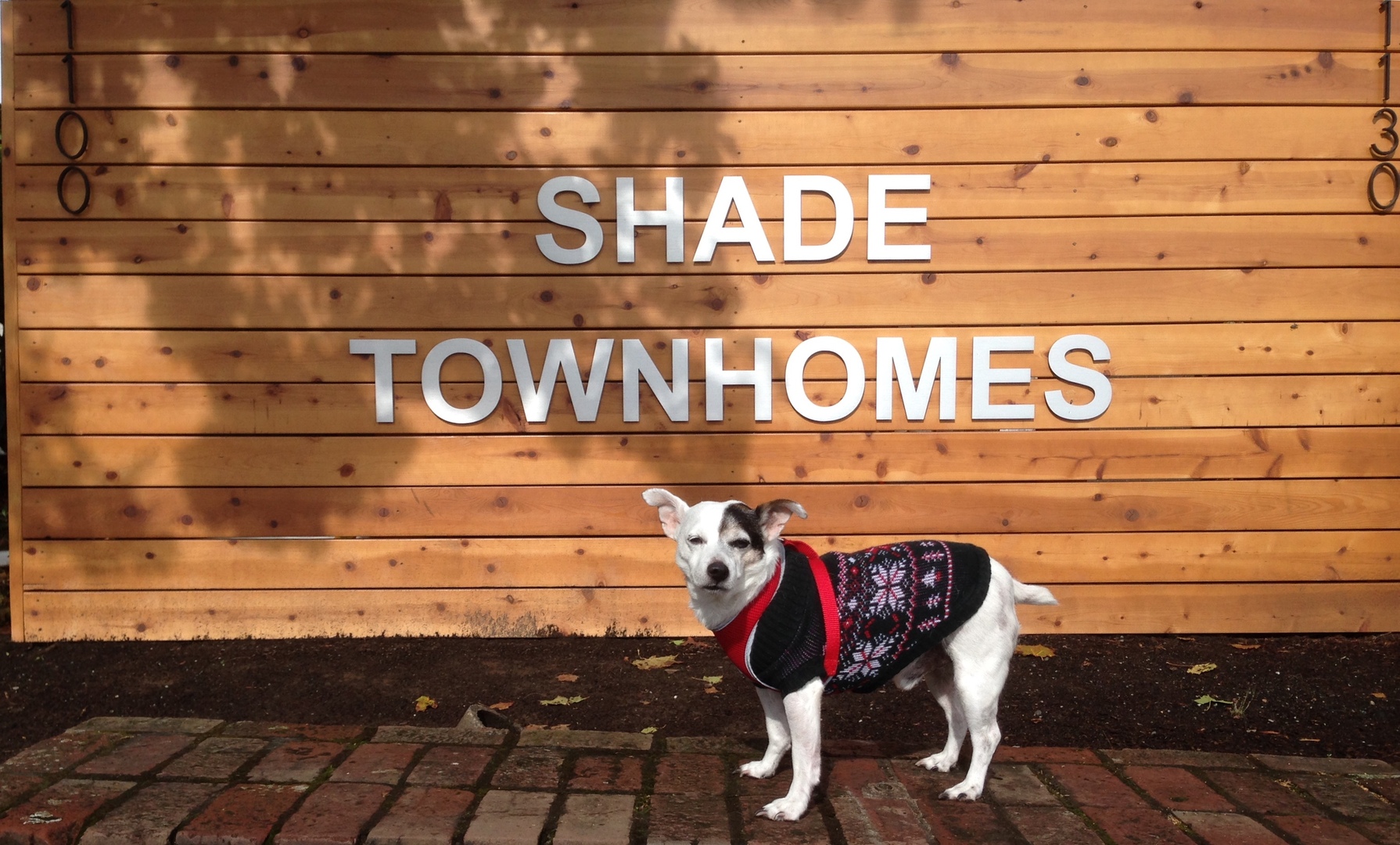 Vancouver Apartment: 1100-1130 NE Minnehaha Street