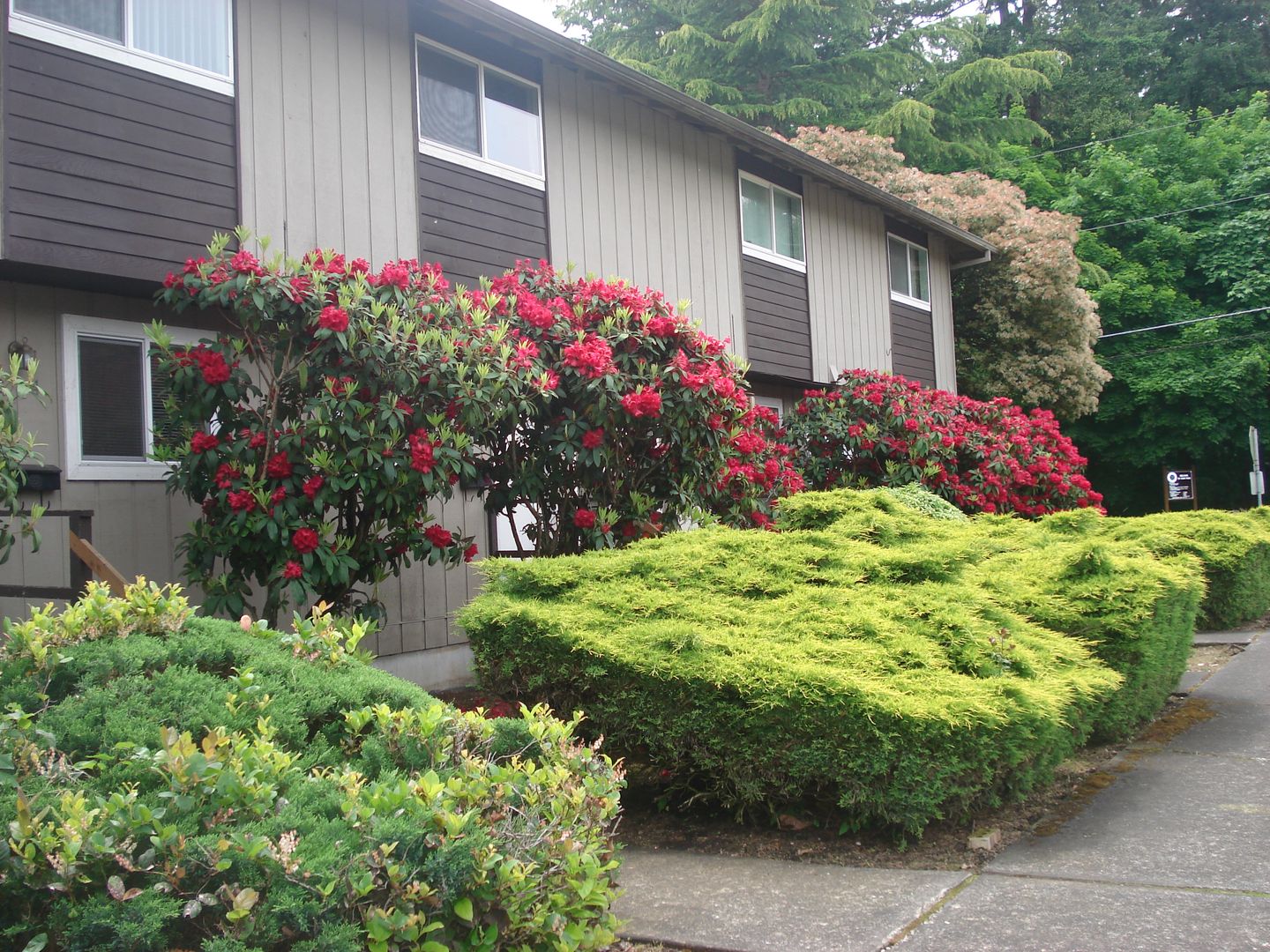 Camas Apartment: 222-238 NW 12 Avenue