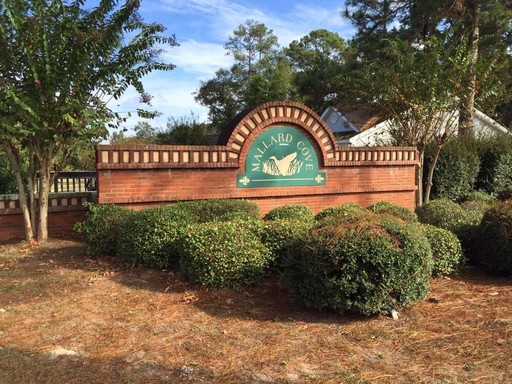 122 Cove Landing Drive – photo 1