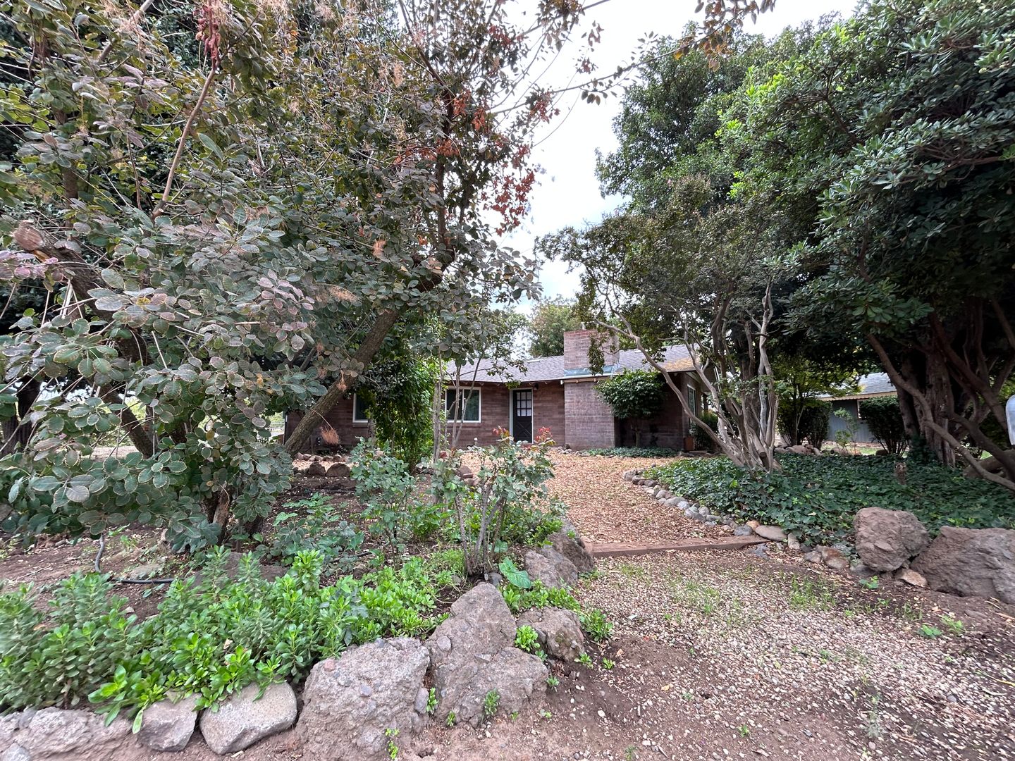 Rentals IPM Chico Chico Property Management