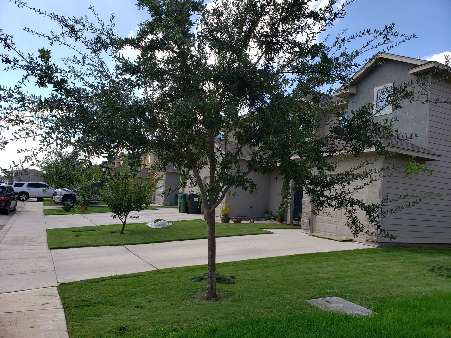 Selma Townhome: 16815 Dancing Ava - 3