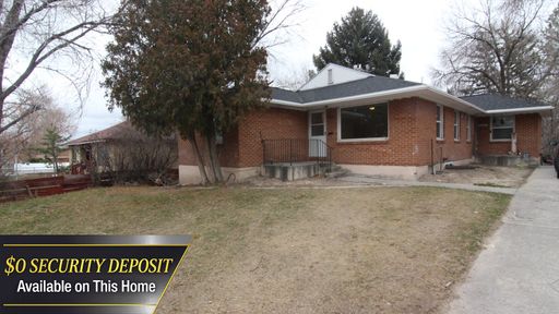 Pet Friendly 4 Bedroom 1 Bath Unit – photo 1
