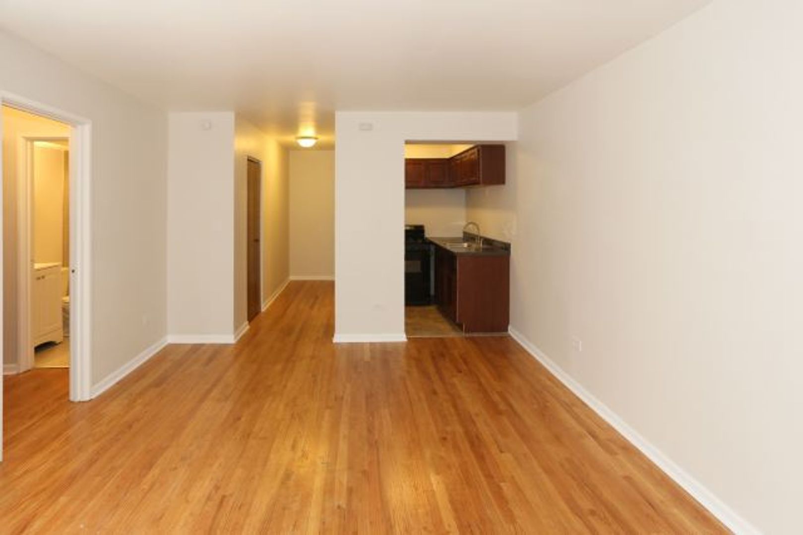 Chicago Apartment: 1040 W. Hollywood