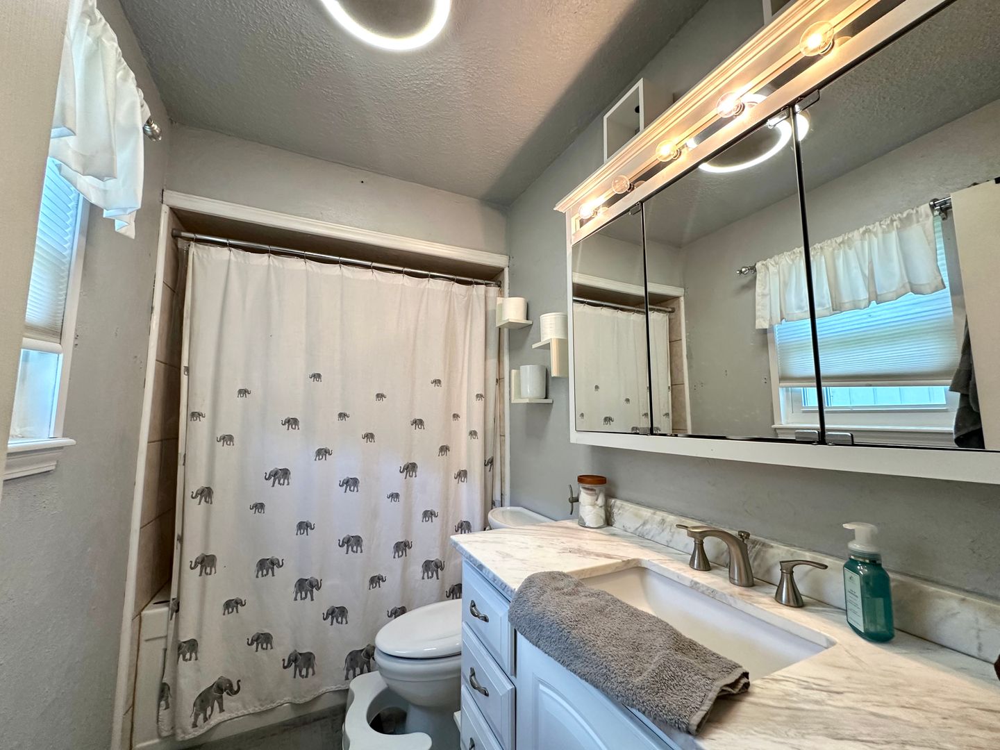 Gallery Image 19