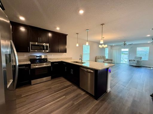 Nice 4 bedroom home for rent in Suncoast Crossing! – photo 1