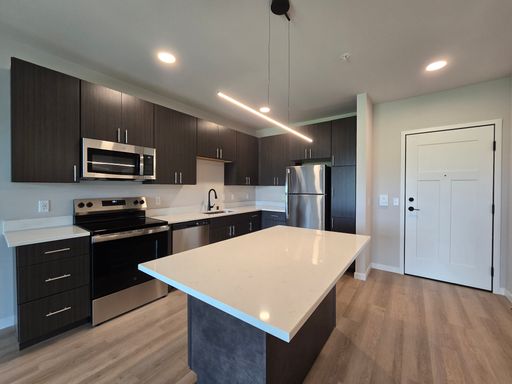 1 Bed, 1 Bath - Bull – photo 1