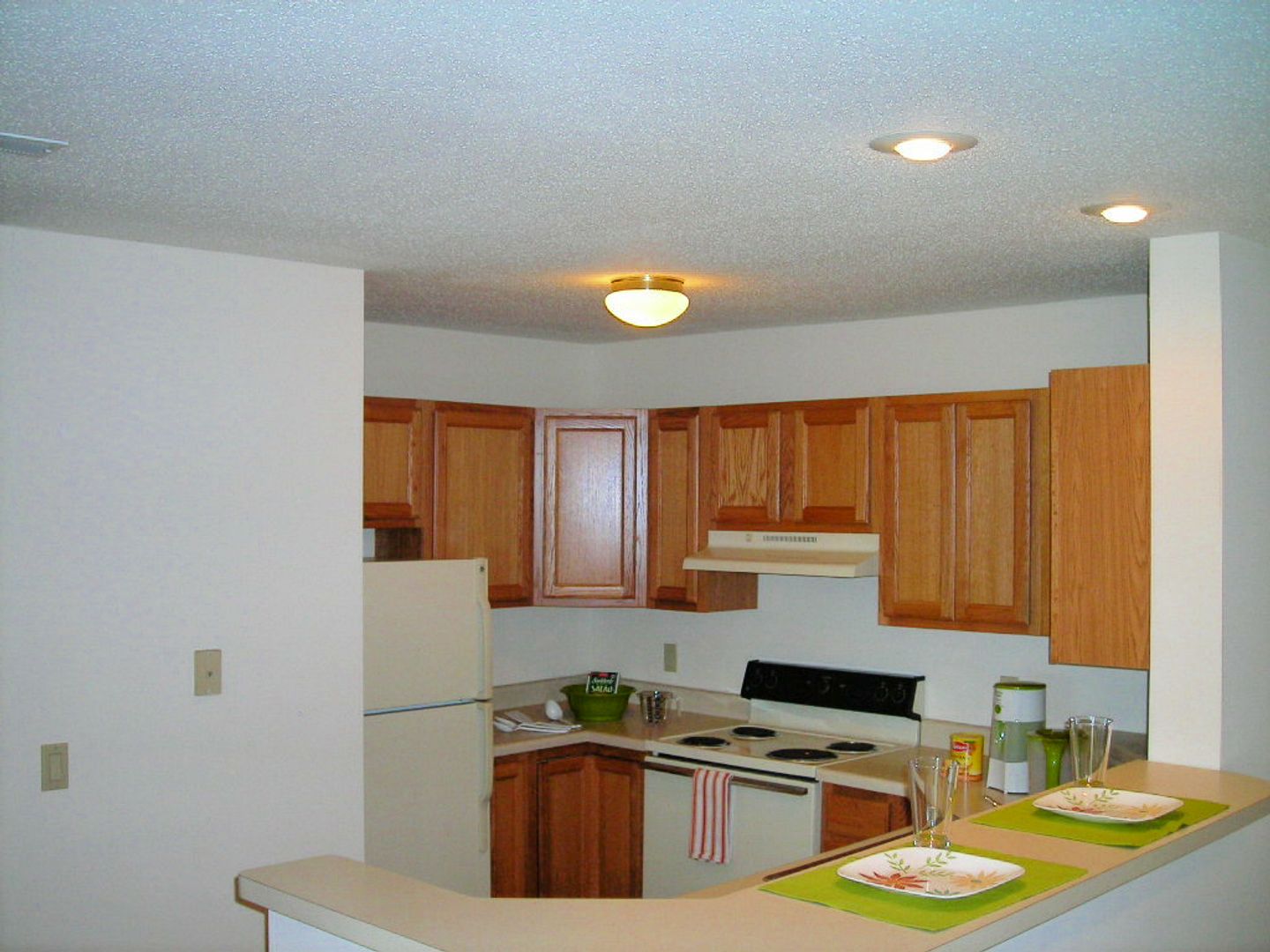 Fitchburg Apartment: 2892 Mickelson Parkway #100