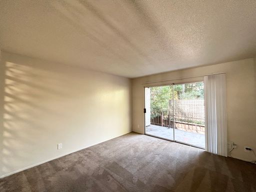 Spacious Large 2 bedroom Apartment - 5 Blocks to UC Berkeley Sather Gate – photo 1