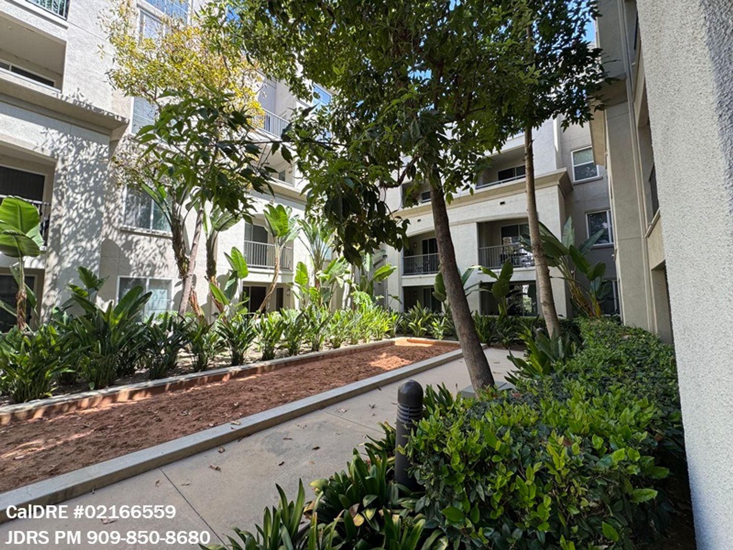 Irvine House: 1106 Scholarship
