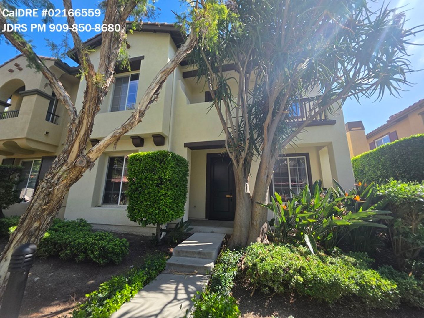 Irvine House: 71 Wonderland