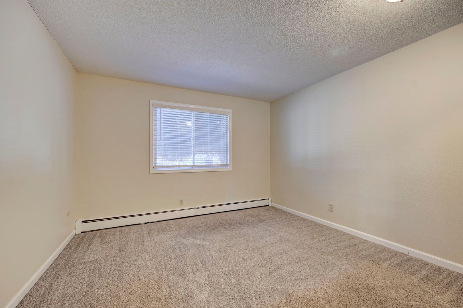 Colorado Springs Apartment: 229 North Hancock Avenue