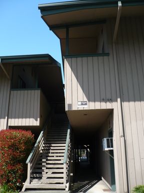 Spacious, Light & Bright Upstairs 2BD/1BA Apt – photo 1