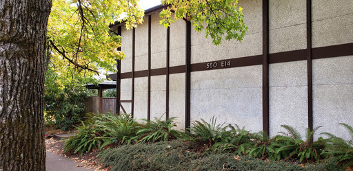 Campus Quint Only with Private Bathroom – photo 1