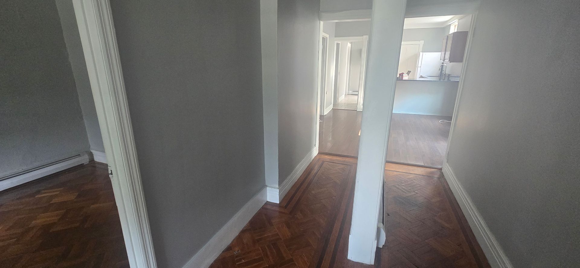 Albany Apartment: 203 Partridge Street