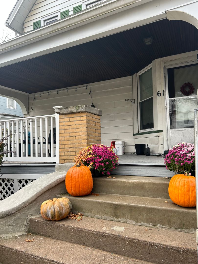 Rochester Apartment: 61 Cambridge St