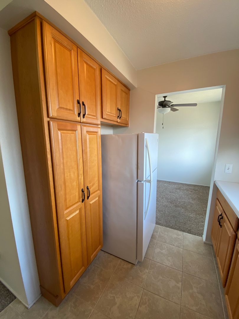 Rochester Apartment: 1031 Emerson St