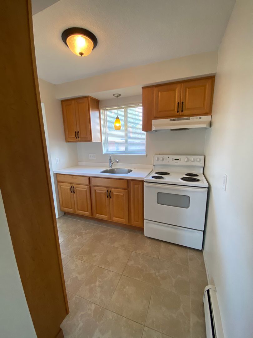 Rochester Apartment: 1031 Emerson St