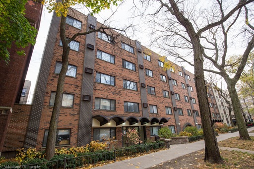 Spacious Studio in Lakeview – photo 1