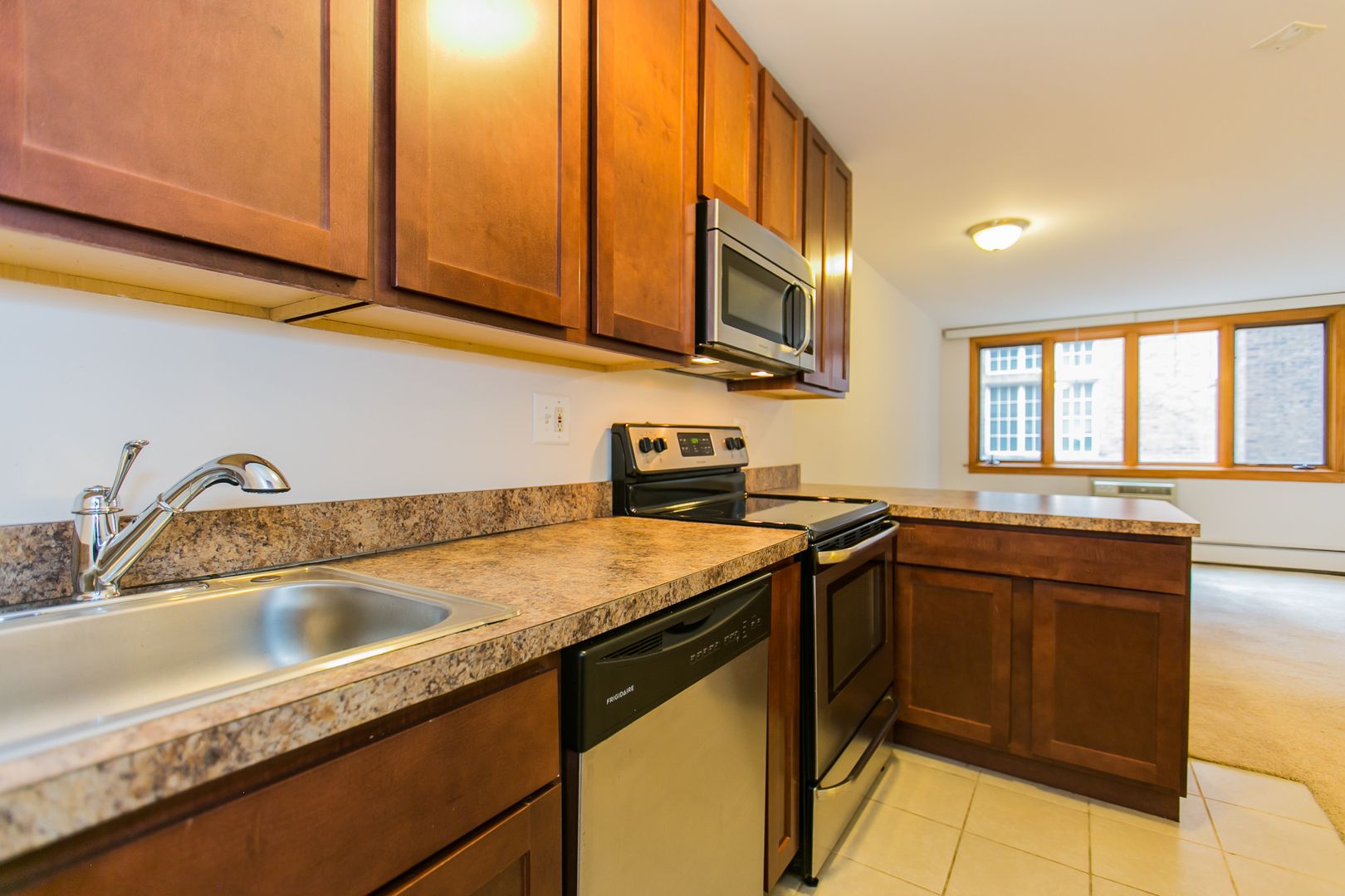 Chicago Apartment: 1355 N. Dearborn