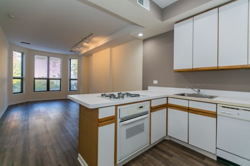 3 Bedroom & 2 Bathroom Apartment in Lincoln Park – photo 1