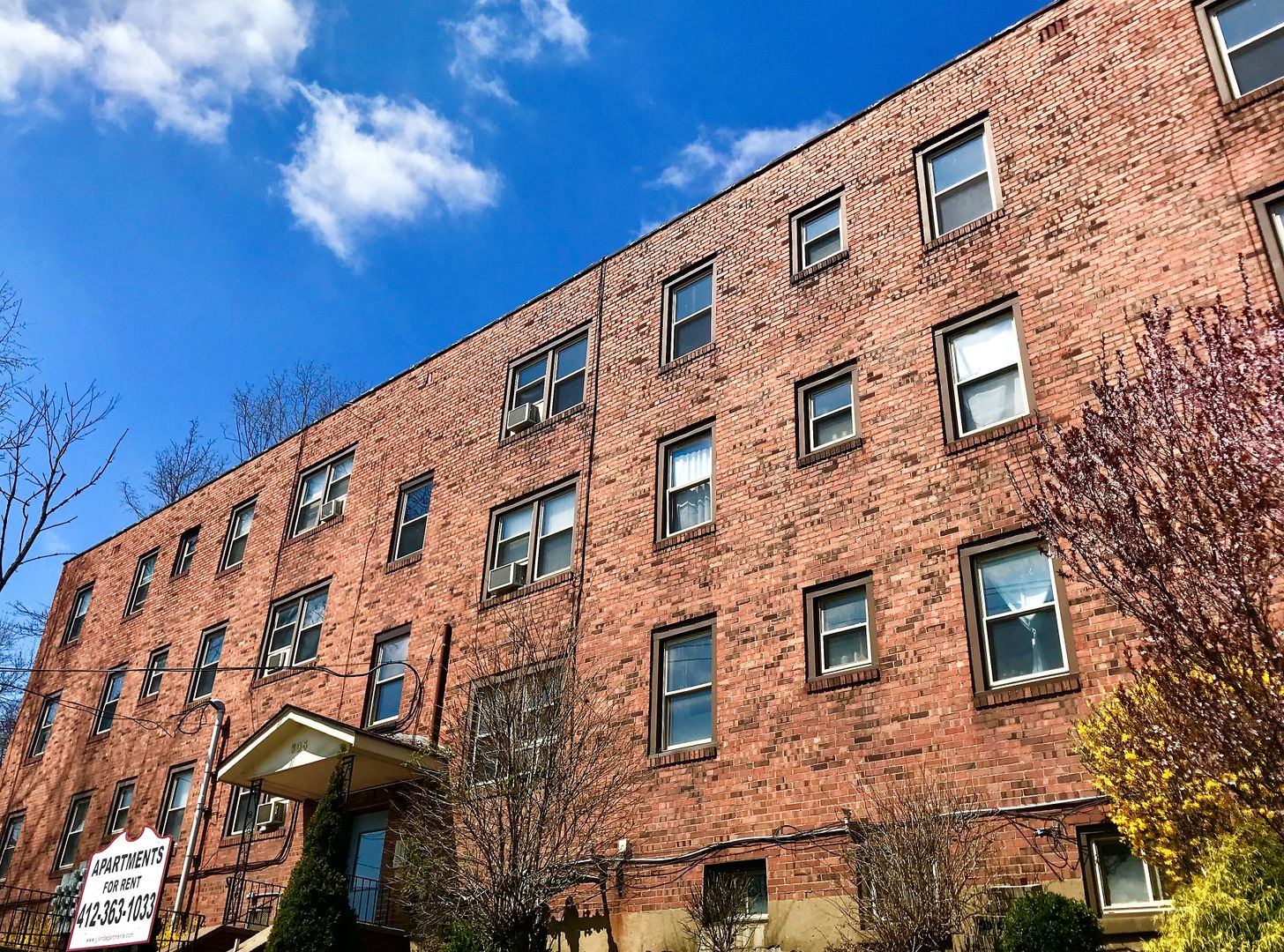 Pittsburgh Apartment: 305 North Negley