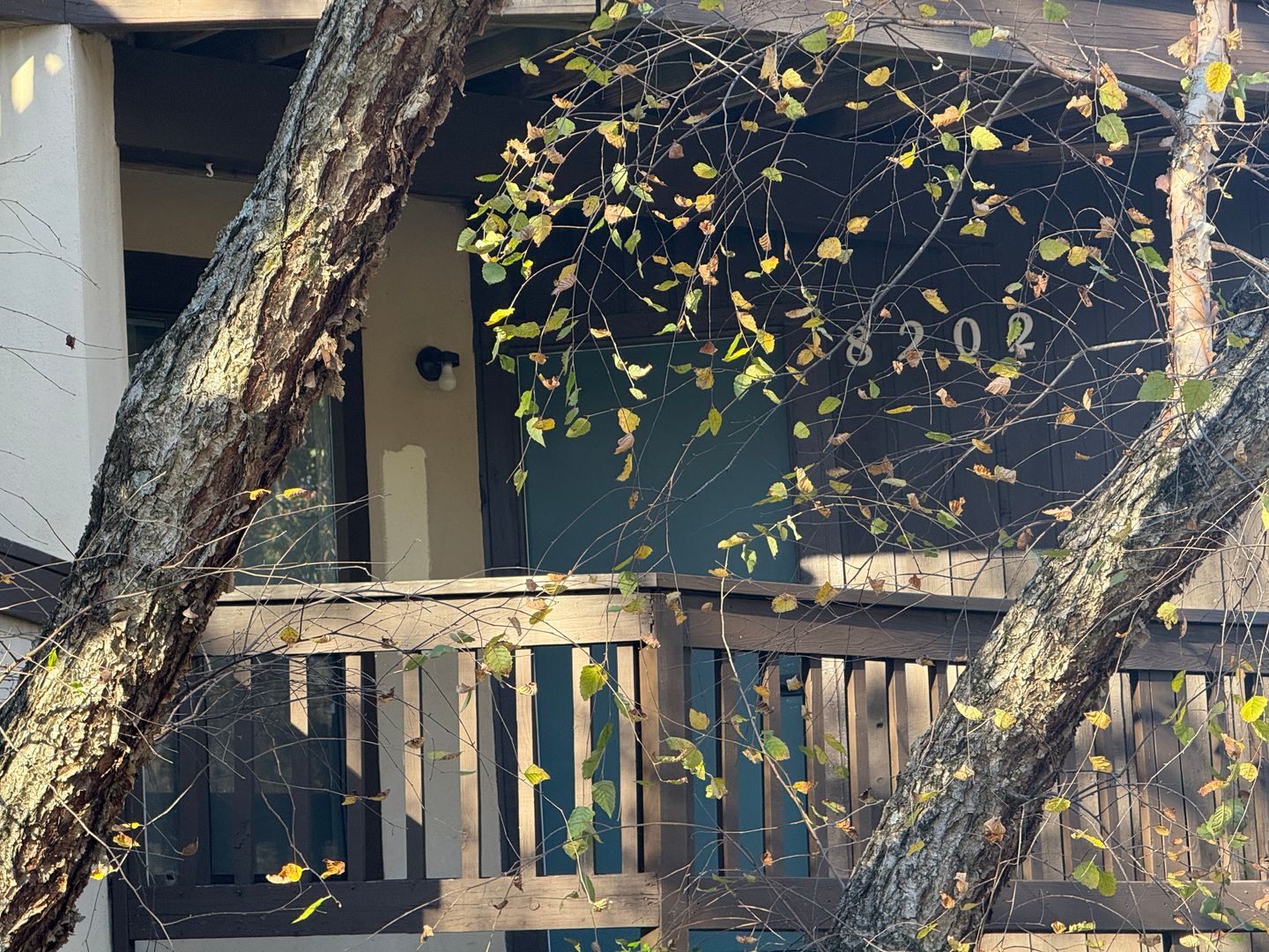 Charlotte Condo: 8202 Cedar Glen Dr